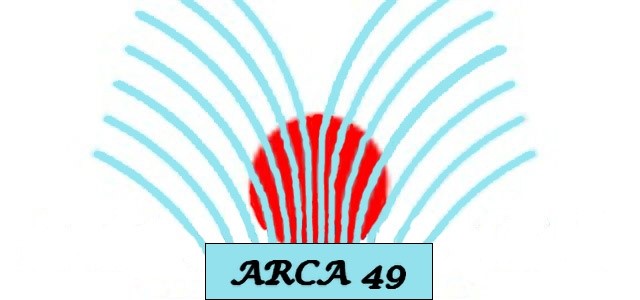 image de logo du questionnaire