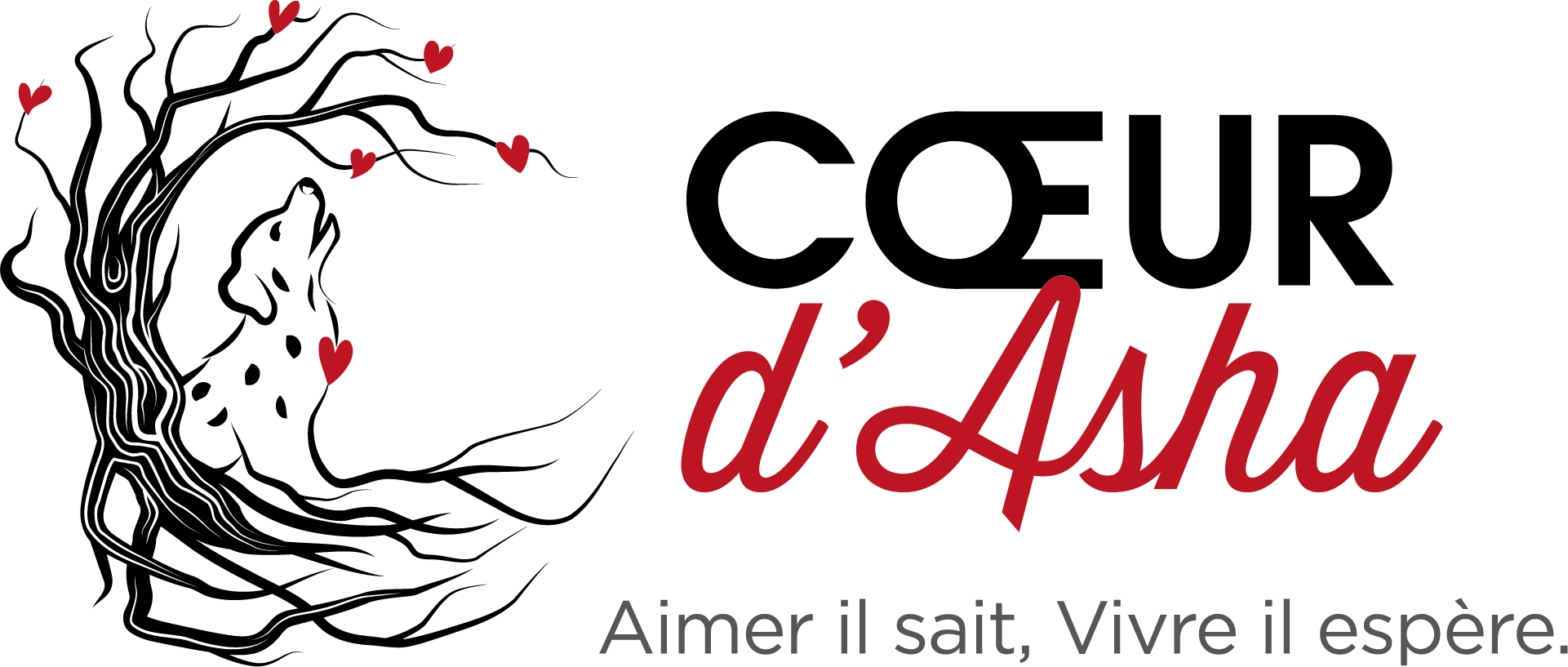 image de logo du questionnaire