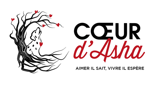 image de logo du questionnaire